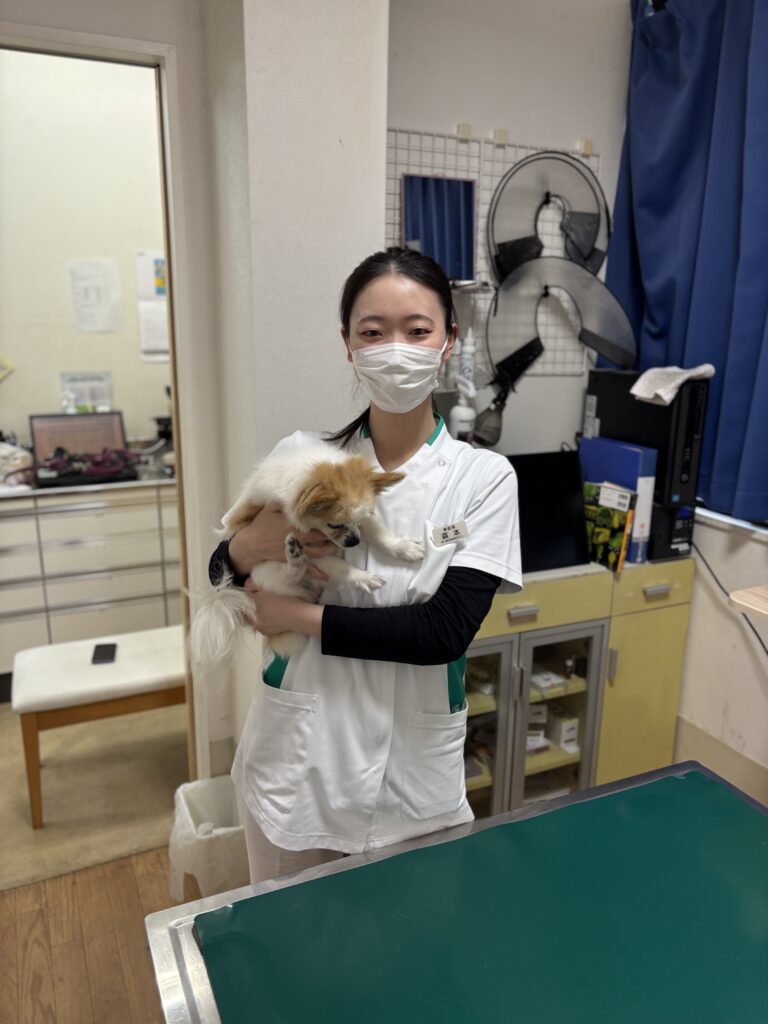 監修した獣医師